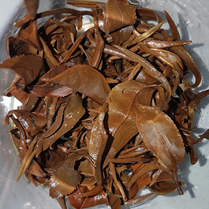 圖四 - 茶底 圖四 - 茶底