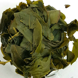 圖四 - 茶底 圖四 - 茶底