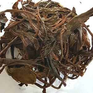 圖四 - 茶底 圖四 - 茶底