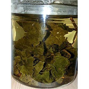 圖一 - 伸展過程 圖一 - 伸展過程