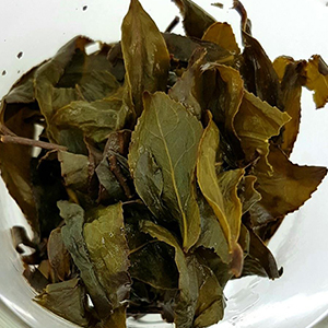 圖四 - 茶底 圖四 - 茶底