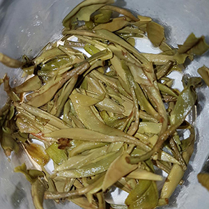 圖四 - 葉底 圖四 - 葉底