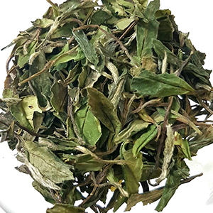 圖二 - 茶乾 圖二 - 茶乾