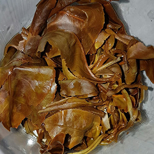圖四 - 葉底 圖四 - 葉底