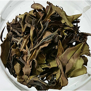圖二 - 茶乾 圖二 - 茶乾