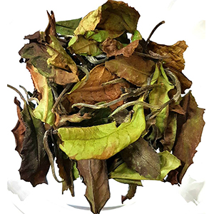 圖二 - 茶乾 圖二 - 茶乾