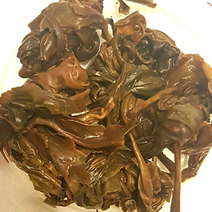 圖四 - 葉底 圖四 - 葉底