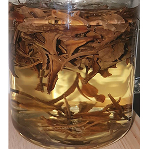 圖一 - 伸展過程 圖一 - 伸展過程