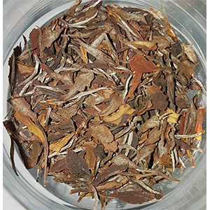 圖二 - 茶乾 圖二 - 茶乾