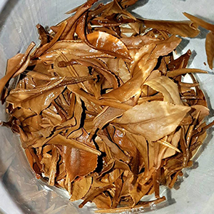 圖四 - 葉底 圖四 - 葉底
