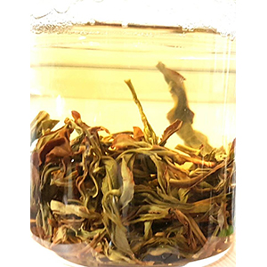 圖一 - 伸展過程 圖一 - 伸展過程