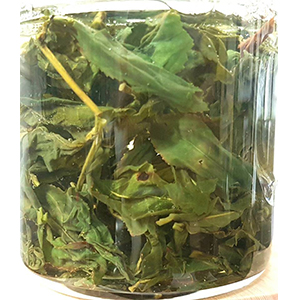 圖一 - 伸展過程 圖一 - 伸展過程