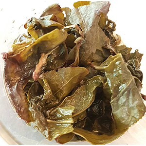 圖四 - 葉底 圖四 - 葉底
