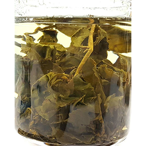 圖一 - 伸展過程 圖一 - 伸展過程