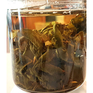 圖一 - 伸展過程 圖一 - 伸展過程