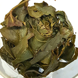 圖四 - 葉底 圖四 - 葉底