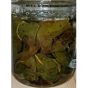圖一 - 伸展過程 圖一 - 伸展過程