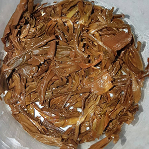 圖四 - 葉底 圖四 - 葉底