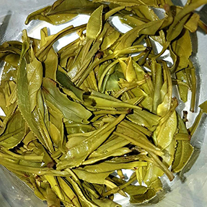 圖三 - 葉底 圖三 - 葉底