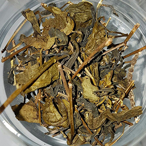 圖二 - 茶乾 圖二 - 茶乾