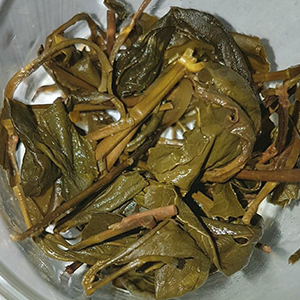 圖四 - 葉底 圖四 - 葉底