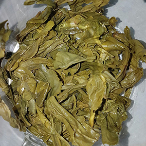 圖四 - 葉底 圖四 - 葉底
