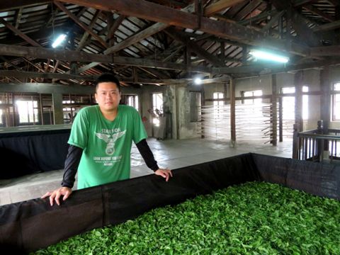 東邦紅茶3代目 郭瀚元氏(郭少三建立的茶葉工廠) Image