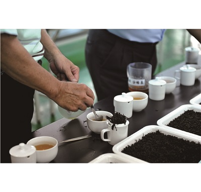圖一 - 台灣比賽茶使用國際審茶杯組